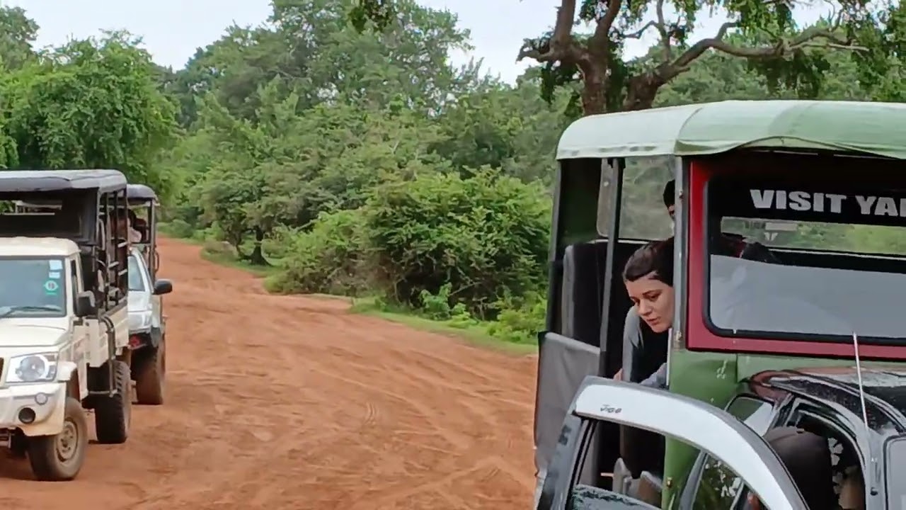 Yala National Park with Roshan safari 0767964954