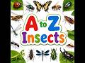 A to Z Insects | A to Z Insects with pictures & video | ABC Insects with pronounciation | ABC Insect