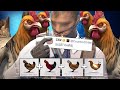 СКИНЫ ДЛЯ КУРИЦ и ПИТОМЦЫ? - КАКИМ БУДЕТ НОВОЕ ОБНОВЛЕНИЕ CS 2
