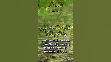 آیهای که امروز باید بشنوید — سوره بقره ✨ | تلاوت کوتاه قرآن | ایالات متحده آمریکا | حکمت قرآن.