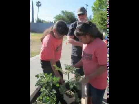montague-charter-academy-teaching-garden-build-and-plant-days