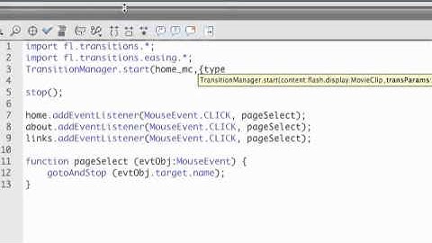Adding Page Animations to your Flash Website
