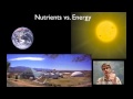 Biogeochemical Cycles and the Essential Elements of Life