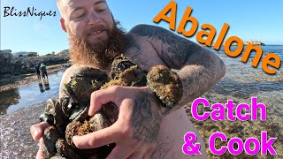 Abalone Catch & Cook, How to Prepare Them and Cooking Tips. Ep.26 BlissNiques