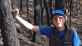 Australian Bushfires 2020. It’s time to change. by Blue Boy Backpacking 1,191 views 4 years ago 3 minutes, 46 seconds