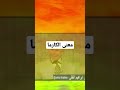 معنى الكارما باختصار