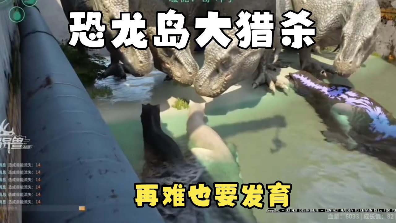 【合集375】龙岛大猎杀：姐弟在敌人打压下，经历万般困难进化完全体！！#恐龙岛 #憨豆