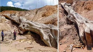 15 Times History Was Rewritten by New Discoveries