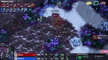 Spirit vs Cure - WardiTV 2025 Bracket Final