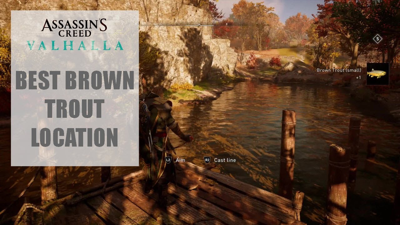 BEST Brown Trout (Small) Location Assassin's Creed Valhalla YouTube
