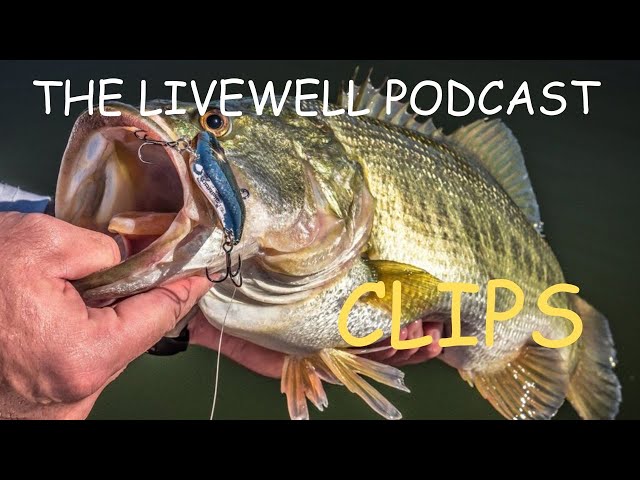 To Catch Bass You Need To Understand The Food Source - LIVEWELL