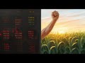 Nagarjuna Fertilizers: Price-to-Book Disconnect & Future Upside Potential Final Verdict (128 Seconds