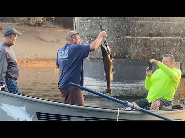 Salmon Fishing At American River on the Boat Report October 30