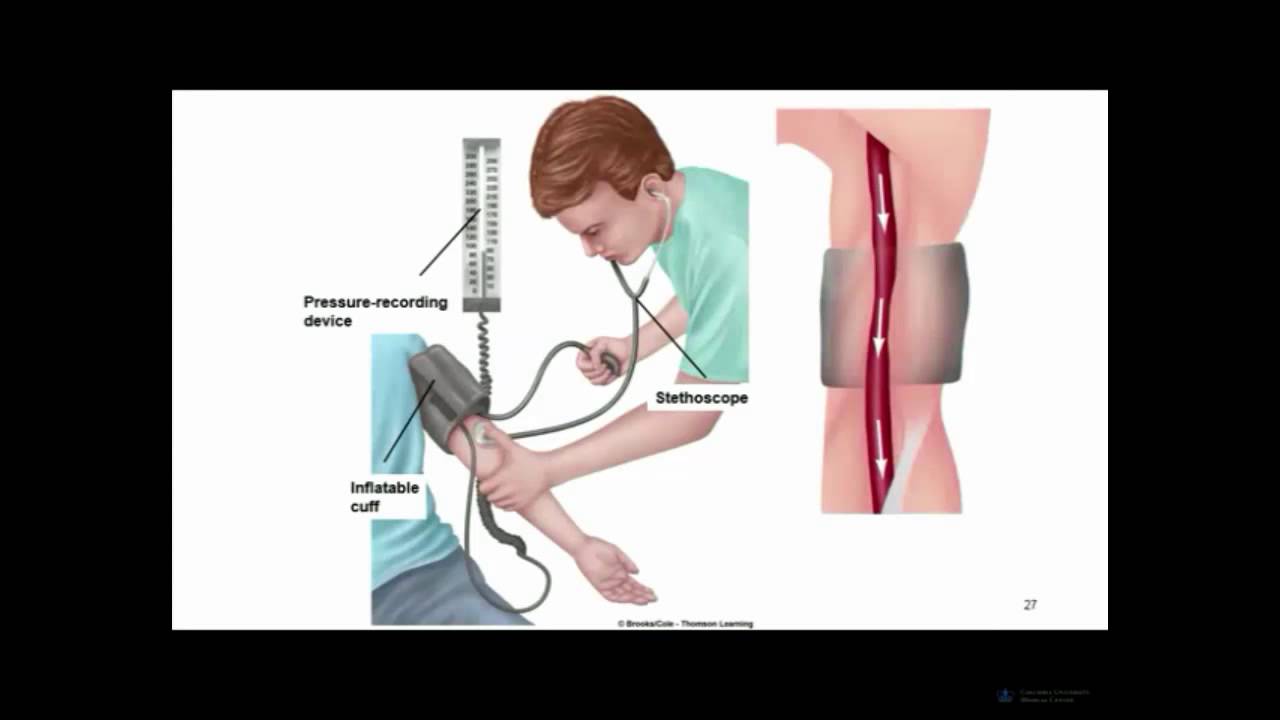 Cardiovascular at home Lecture II YouTube