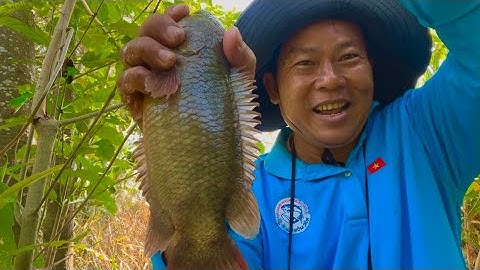 Câu cá rô đồng, Pha Lên KHỦNG LONG Đầy Bất Ngờ / Big Fish Fishing In A Small River