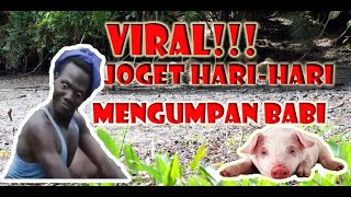 Download Lagu Pantun Hari Hari Mengumpan Babi Cover Jimmy Hera Pani Dinda MP3 Pantun Hari Hari Mengumpan Babi Cover Jimmy Hera Pani Dinda