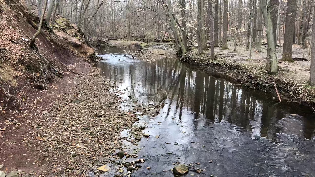 Big Creek, Cleveland Metroparks
