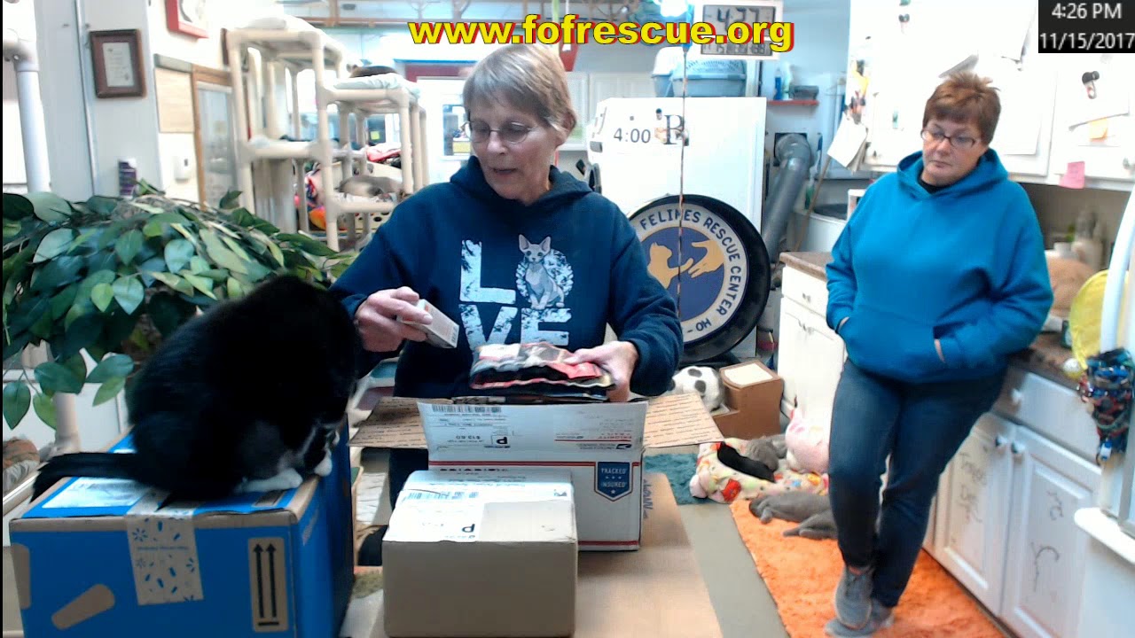 chatstorage.sqlite Boxes 11/15/2017