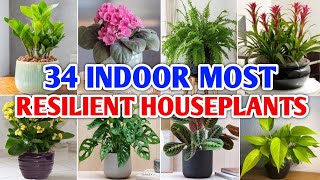 34 Indoor Most Resilient Houseplants | Best Impossible to Kill Indoor Plants | Plant and Planting