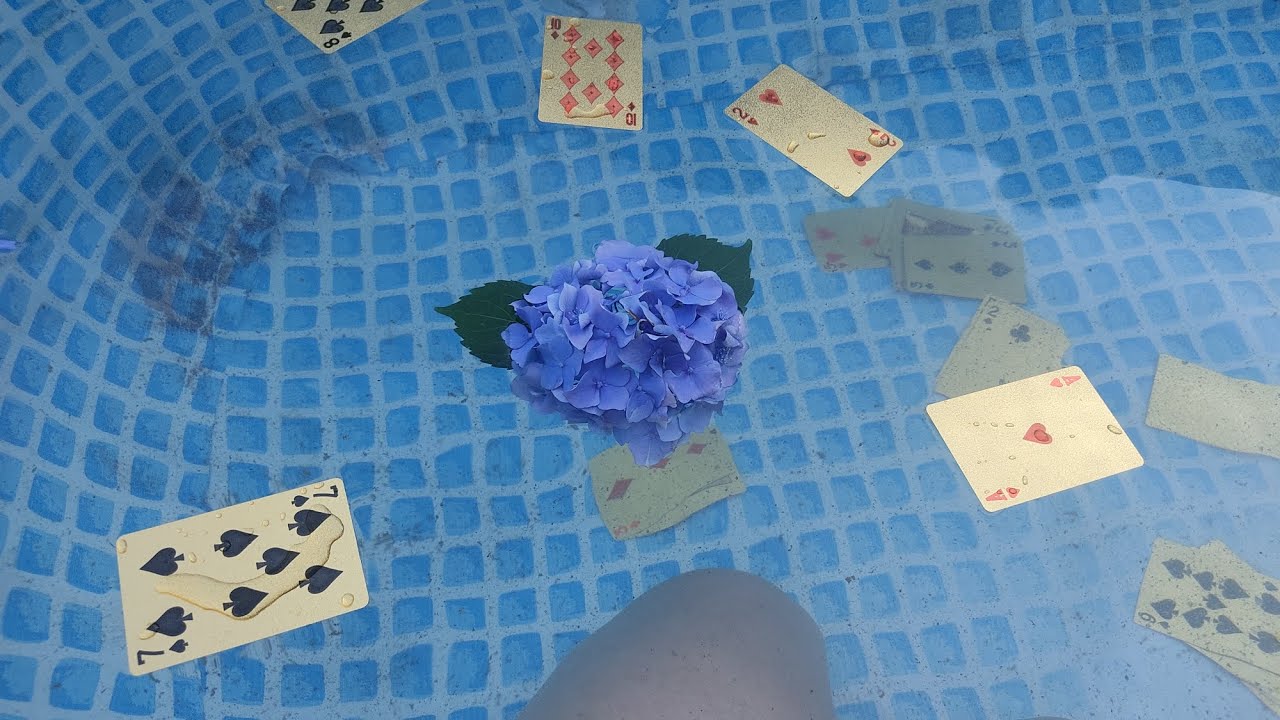 sta durante il tuo silenzio?🔮 ️⭐ 🏊Carte acquatiche😊(si leggono bene nell'elemento acqua sta durante il tuo silenzio?🔮 ️⭐ 🏊Carte acquatiche😊(si leggono bene nell'elemento acqua