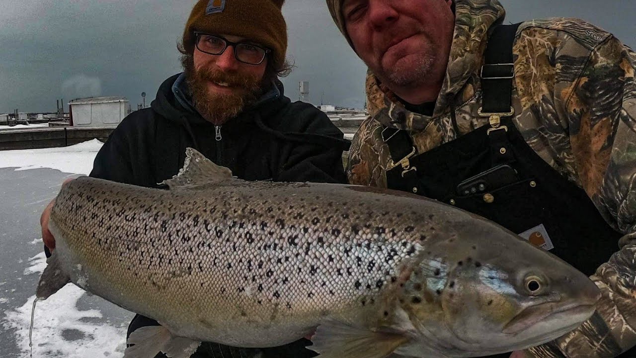 Ice Fishing Harbor Brown Trout YouTube