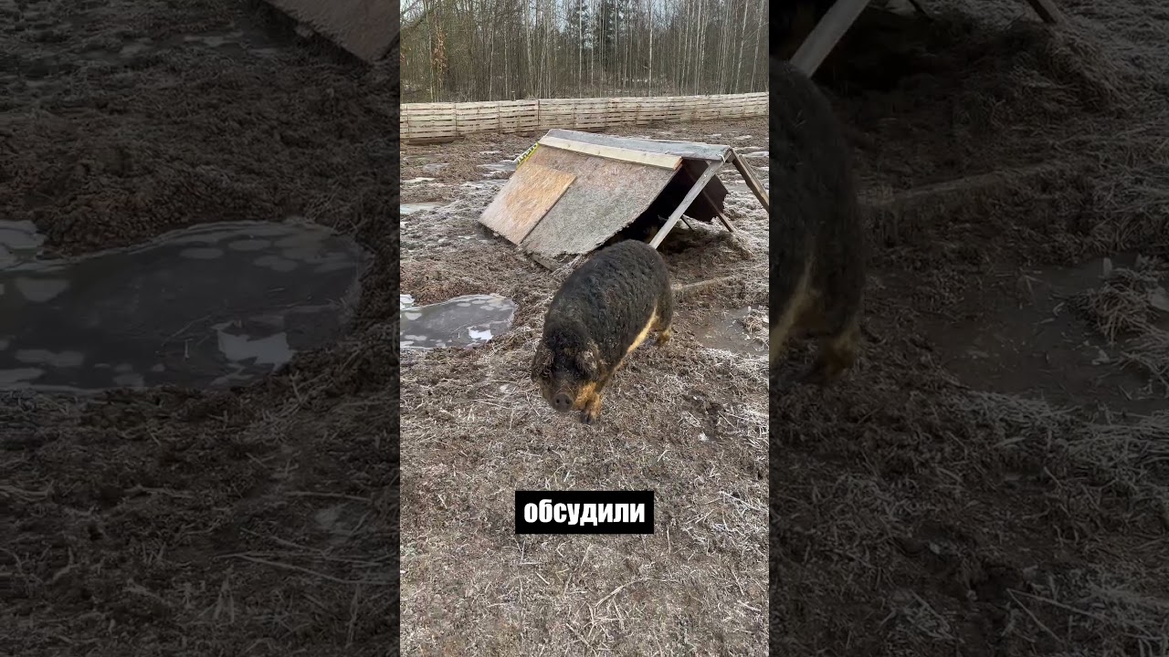 Бизнес давал миллионы а теперь считаю копейки 