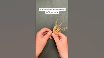 Ornamental Wheat Weaving: Learn to Plait Straw
