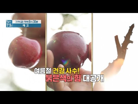 여름 건강 지키는 붉은색의 힘 MBN 210709 방송