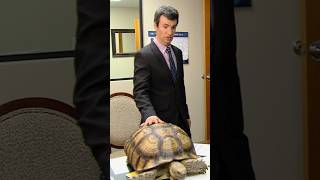 “This Is Who You Just Hired.” | #Nathanforyou #Nathanfielder #Shorts