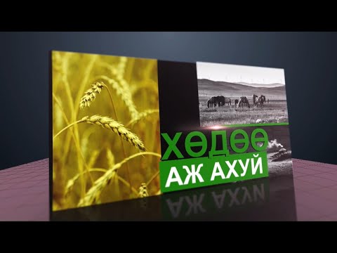 Видео: Алтайн хязгаар нутагт 
