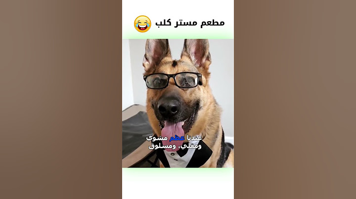 كلب مضحك مدبلج كوميدي 😂 | #دبلجة_مضحكة #ضحك #اكسبلور #السعودية #my_kingo #كوميديا #funny #دوبلاج