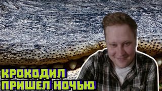 Галлюцинация с крокодилом и малой такмачкой | Скабрезлость