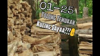 Mpusss Dimana Kamu-Find The Cat screenshot 2