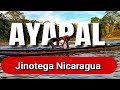 Me mintieron ayapal no es lo que dicen  ayapal es comercio naturaleza ganaderia agricultura