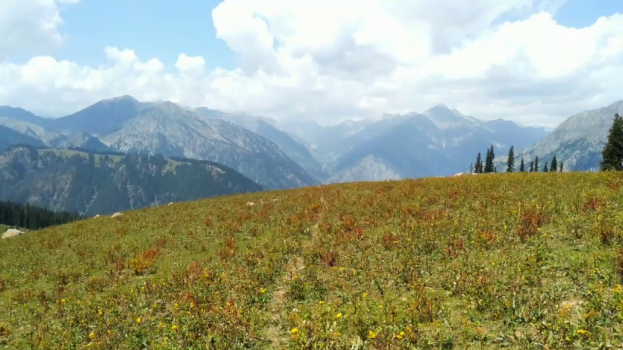 Desan meadows Kalam Valley, Swat