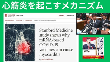 スタンフォード・メディスン研究が、mRNAベースのCOVID-19ワクチンが心筋炎を引き起こす理由を示す 。