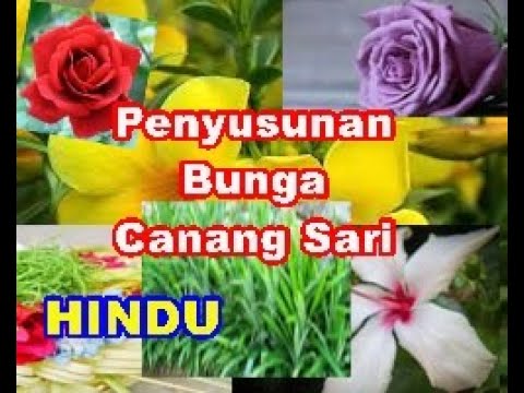  Cara  Susun  Bunga Dalam  Canang Sari HINDU YouTube