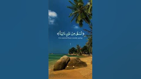 ايات من القران الكريم تلاوة ومقروء ايات بينات من سورة الغاشية