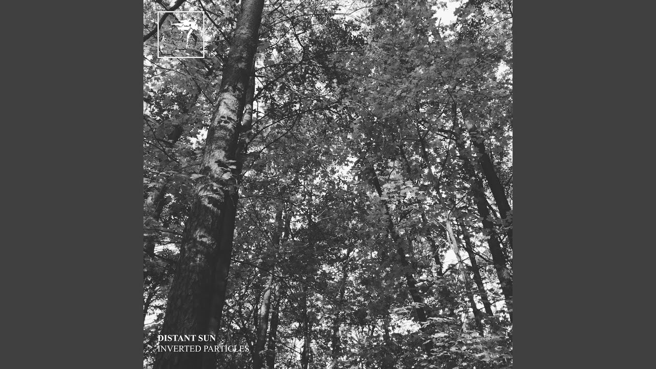 Watch Machine lernt on YouTube Watch Machine lernt on YouTube