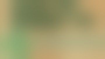 How to SPEED up uTorrent Downloads **ALL Versions**