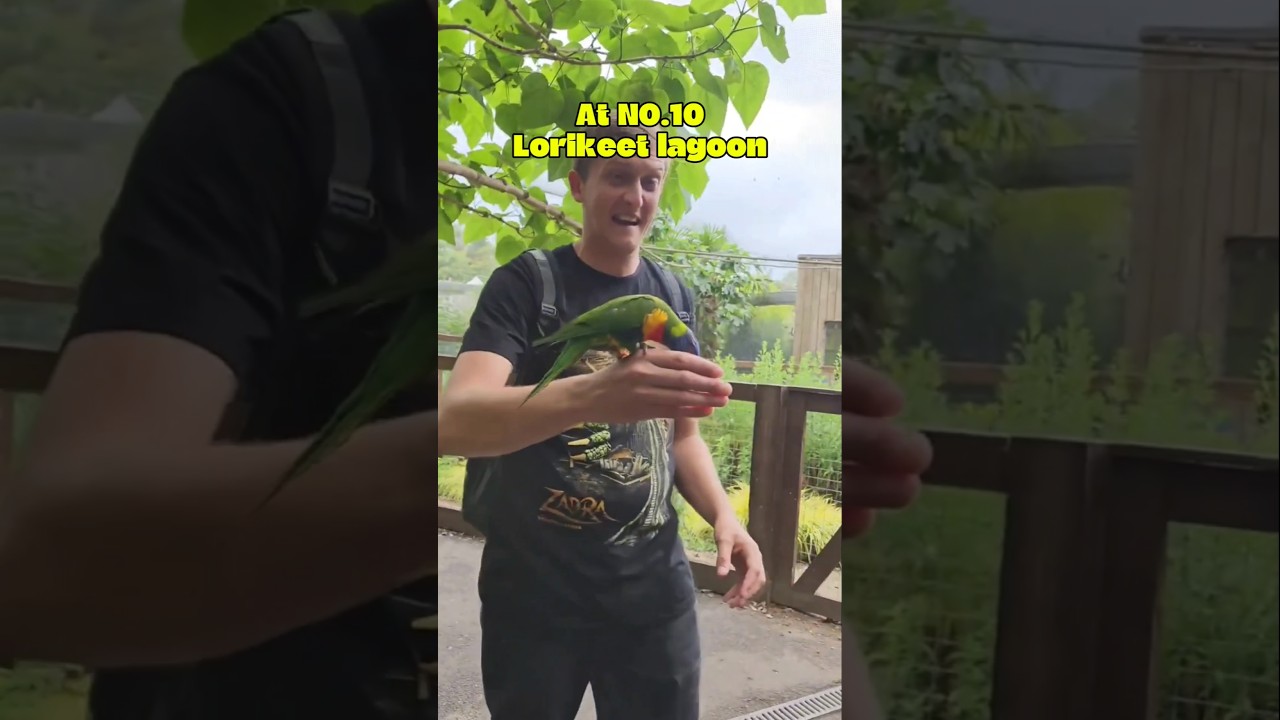 Все аттракционы в мире приключений Чессингтон! | Часть 5