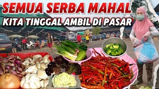 Download Lagu Semua serba mahal,Alhamdulillah kita tinggal ambil dipasar MP3 Download Lagu Semua serba mahal,Alhamdulillah kita tinggal ambil dipasar MP3