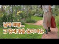 (SUB)정원의 건강한 흙을 만드는 방법 / 클레마티스 휘묻이와 수국 삽목방법