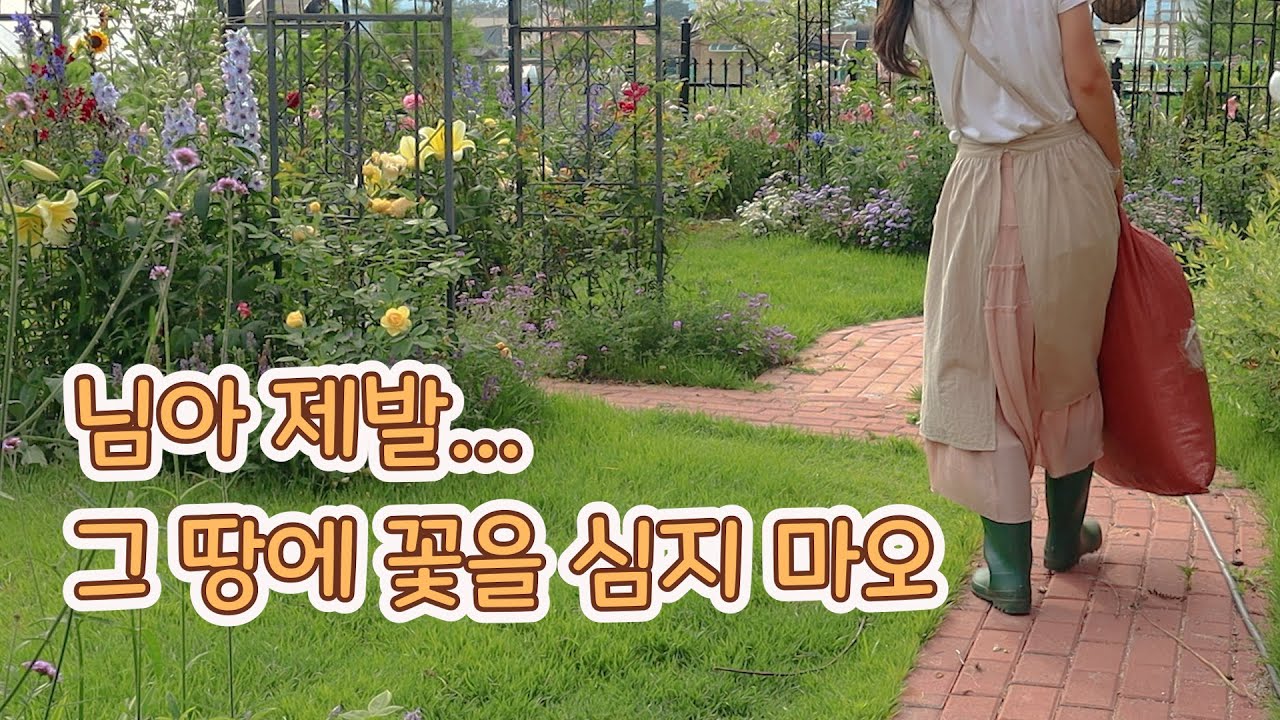 Как сделать здоровую почву для вашего сада / Как размножить clematis и гидрангеи