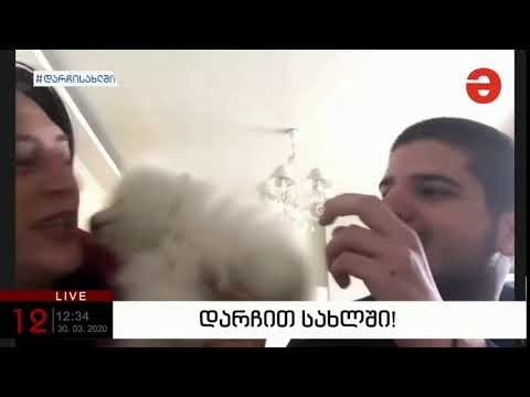 ნატო გელაშვილი / Nato Gelashvili