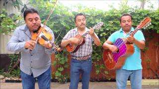 Trio Los Genuinos de Jacala Hidalgo en Houston, Tx