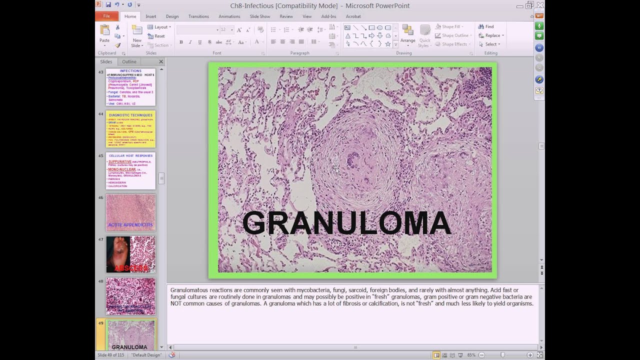 Medical School Pathology, 2013 Season, Session #16: Infectious Diseases II