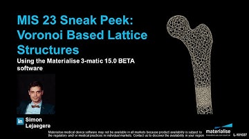 MIS 23 Sneak Peek - Voronoi Based Lattice Structures