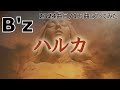 ソシテカ【 2324曲目/1万曲】ハルカ(B'z)