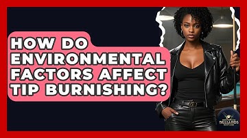 How Do Environmental Factors Affect Tip Burnishing? - Billiards Hustlers